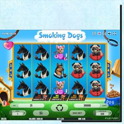 fonctionnalites jeu smoking dogs
